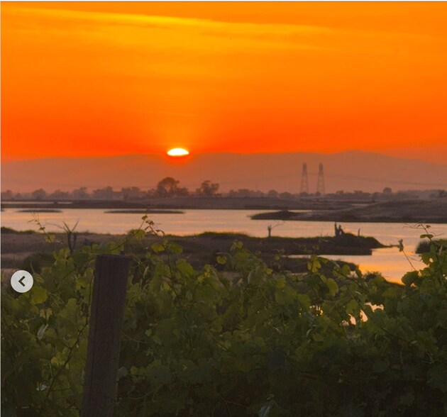 More Photos Of 743 Luds Way, Oroville Winery Vineyard For Sale