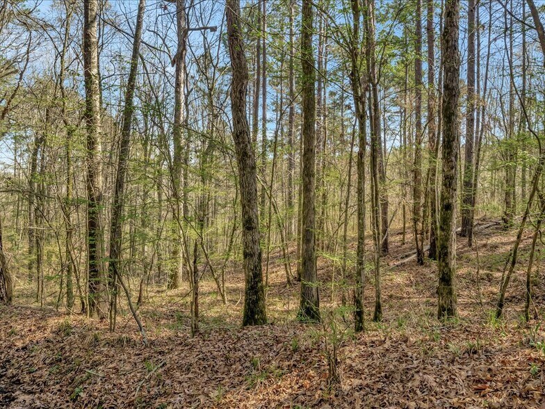 More Photos Of 0 CR 273, Garrison Land For Sale