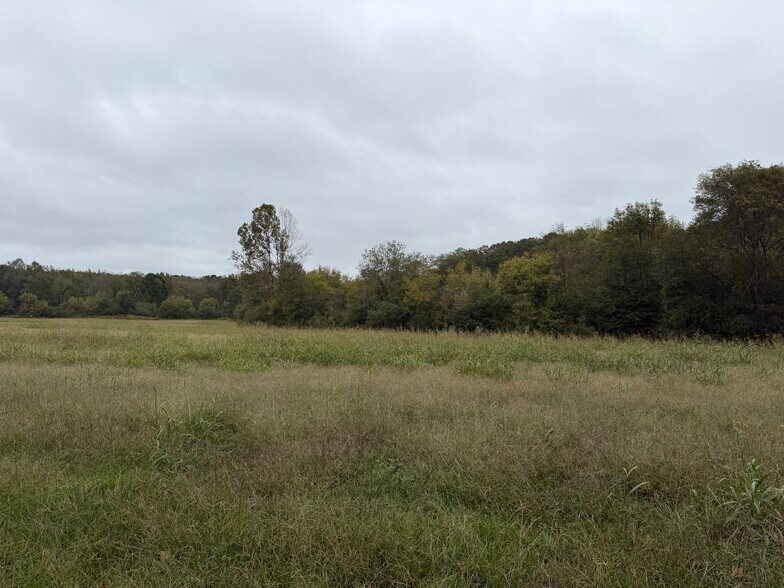 More Photos Of 0 County Road 60, Heflin Land For Sale