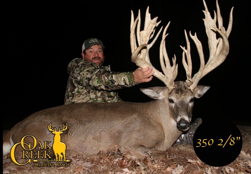 More Photos Of 178 Oak Creek Ln, Bland Land For Sale