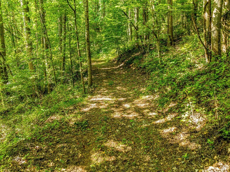 More Photos Of 703 Crestview Dr, Leicester Land For Sale