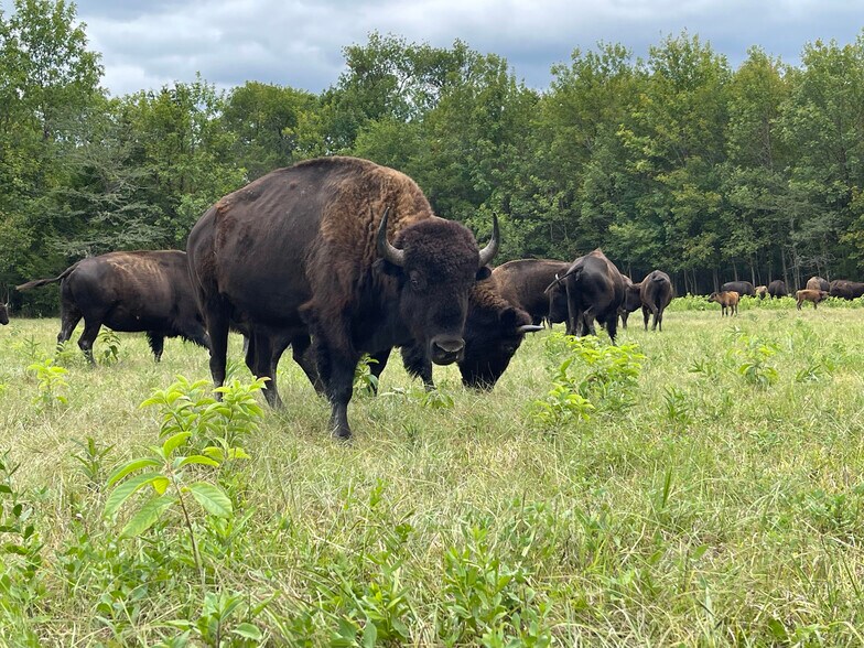 More Photos Of 6040 AL-28, Pine Apple Specialty For Sale