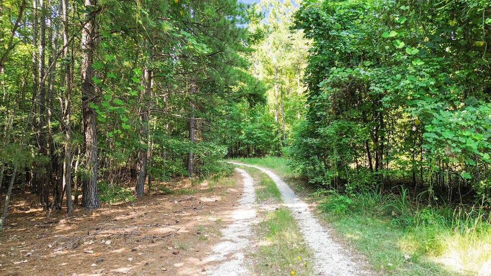 More Photos Of Hwy 109 N @ Cobb Street, Wadesboro Land For Sale