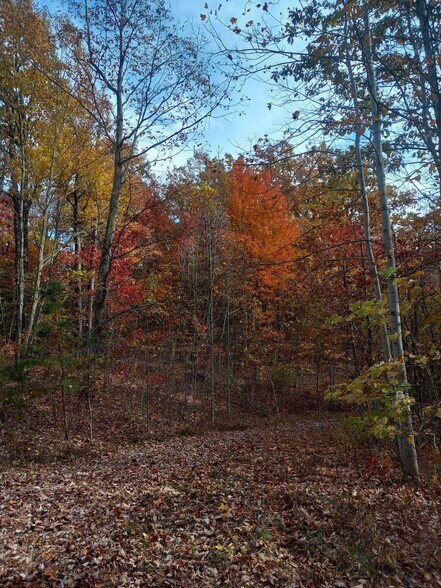 More Photos Of 1737A High Rock Rd, Stanton Land For Sale