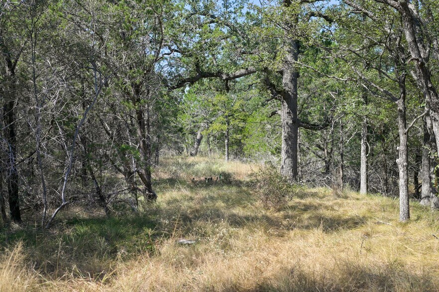 More Photos Of 1033 Flying X Rd, Spicewood Land For Sale
