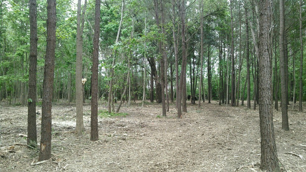 More Photos Of 116 Sharon Ct, Pooler Land For Sale