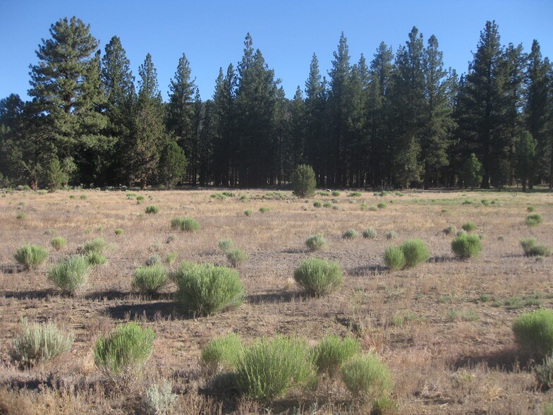More Photos Of 2818 Erwin Ranch Rd, Big Bear City Land For Sale