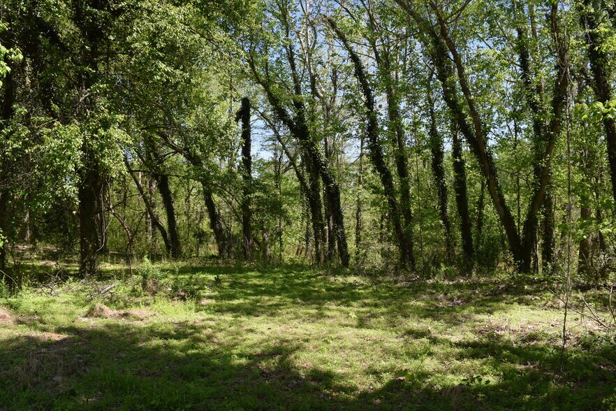 More Photos Of 1397 Armstrong Ford, Belmont Land For Sale