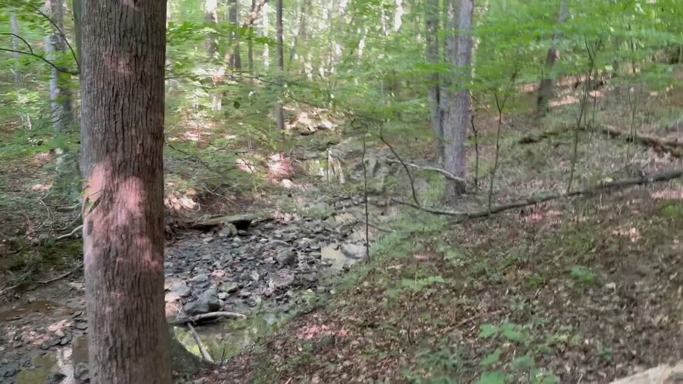 More Photos Of 400 Eden Church rd, Madison Land For Sale