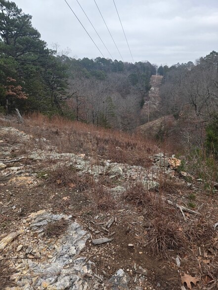 More Photos Of 150 Passion Play Rd, Eureka Springs Restaurant For Sale