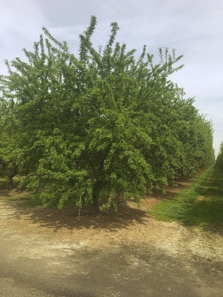 More Photos Of 4032 W Inyo Ave, Tulare Land For Sale