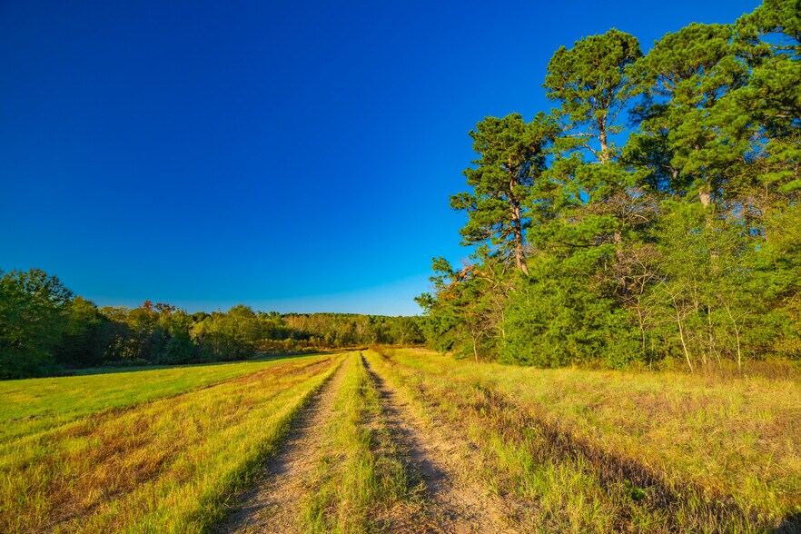 More Photos Of 391 Farm to Market 1519, Scroggins Land For Sale