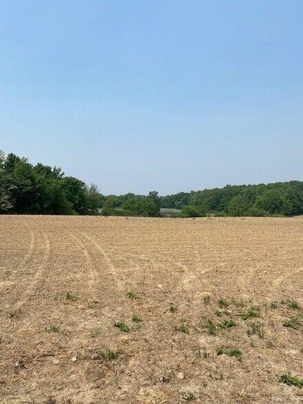 More Photos Of 7451 Fostoria rd, Mayville Land For Sale