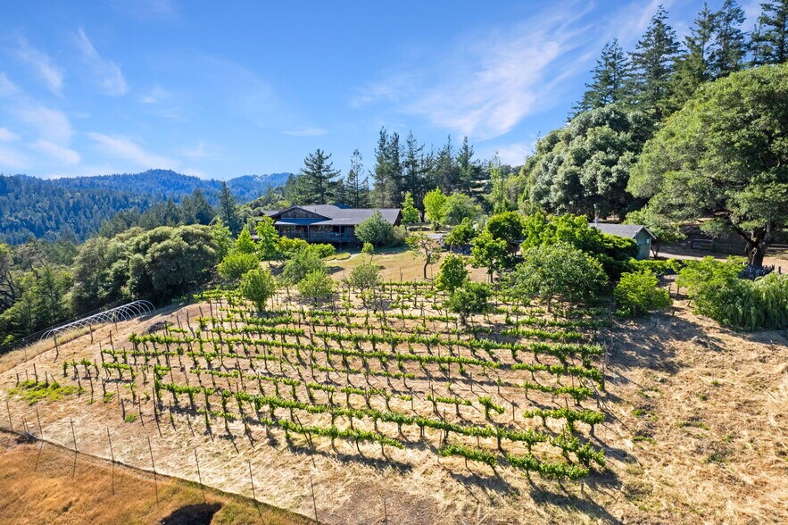 More Photos Of 20799 Highway 128, Yorkville Winery Vineyard For Sale