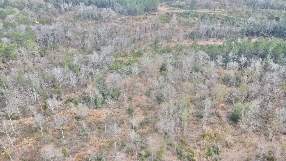 More Photos Of 52000 Block US-31 Hwy, Perdido Land For Sale