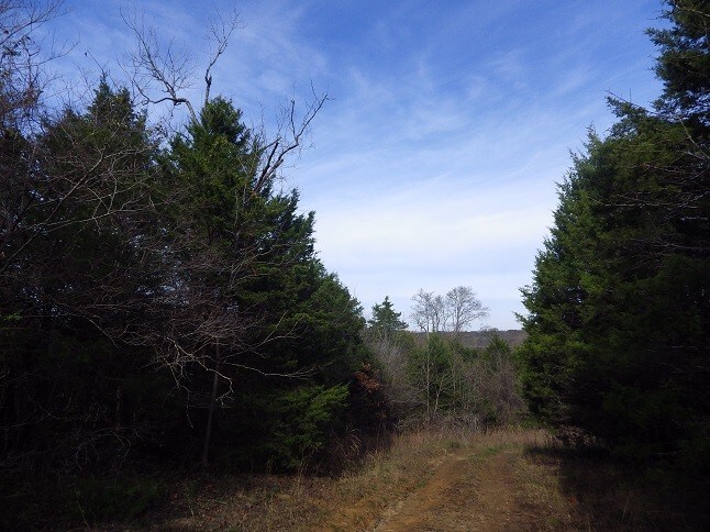 More Photos Of Reed Road Highway 82, Starkville Land For Sale