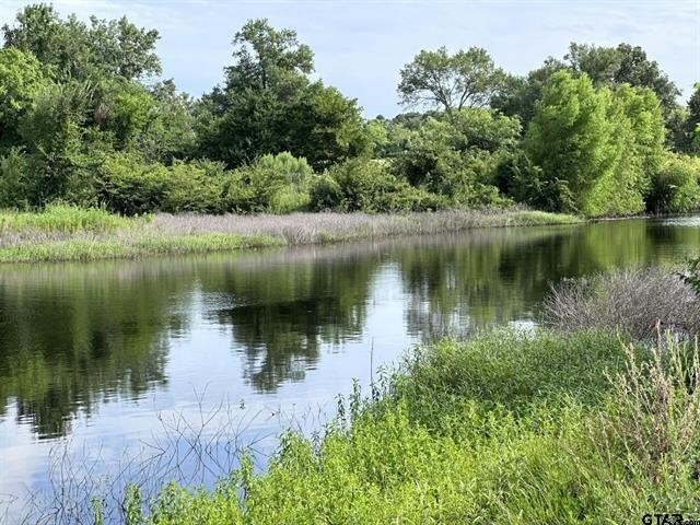 More Photos Of 2096 FM 21, Pittsburg Land For Sale