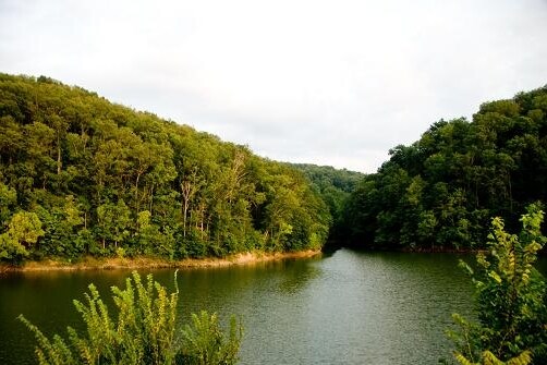 More Photos Of 500 Huff Hollow Rd, Newport Land For Sale