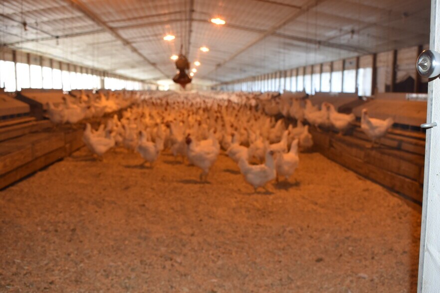 More Photos Of 441 Weaver Rd, Moultrie Land For Sale