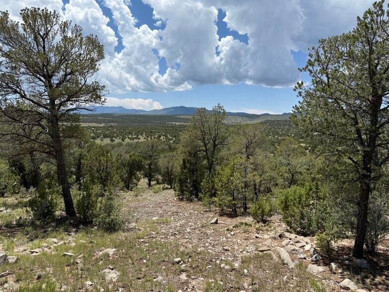 More Photos Of 44 Forest 321 Rd, Estancia Land For Sale