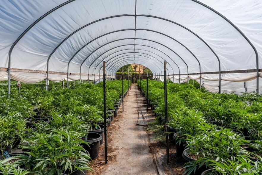 More Photos Of 2000 Clover Valley Rd, Upper Lake Land For Sale