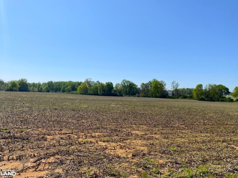 More Photos Of 3098 N HWY 171, Fayette Land For Sale