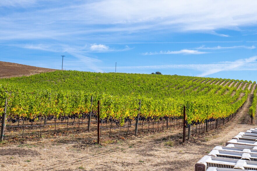 More Photos Of 3800 Jameson Canyon Rd, American Canyon Land For Sale