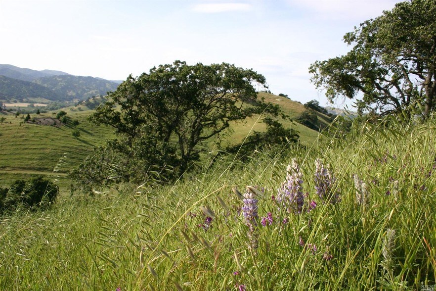 More Photos Of Marshall Rd, Vacaville Land For Sale