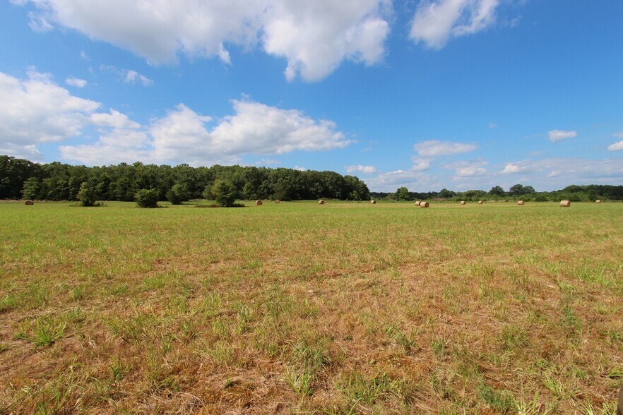 More Photos Of 278 Highway 64 E, Conway Land For Sale