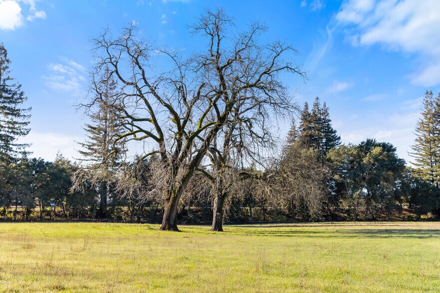 More Photos Of 13255 Healdsburg Ave, Healdsburg Land For Sale