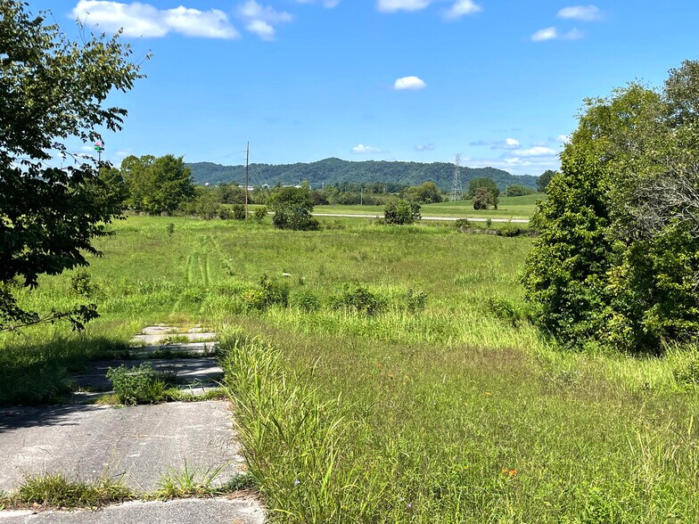 More Photos Of Flatwoods Road, Mosheim Land For Sale