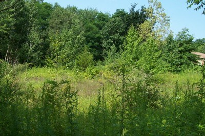 More Photos Of 1 Barnet Rd, Montville Township Land For Sale