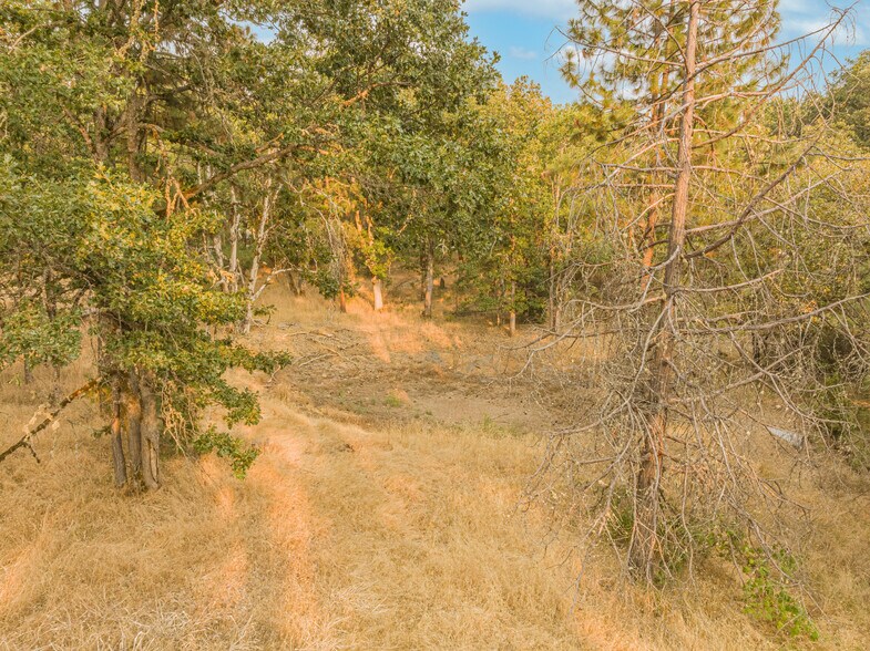 More Photos Of 323 Eric way, Grants Pass Land For Sale