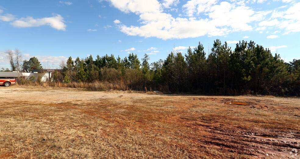 More Photos Of 870 Columbia Ave, Chapin Land For Sale