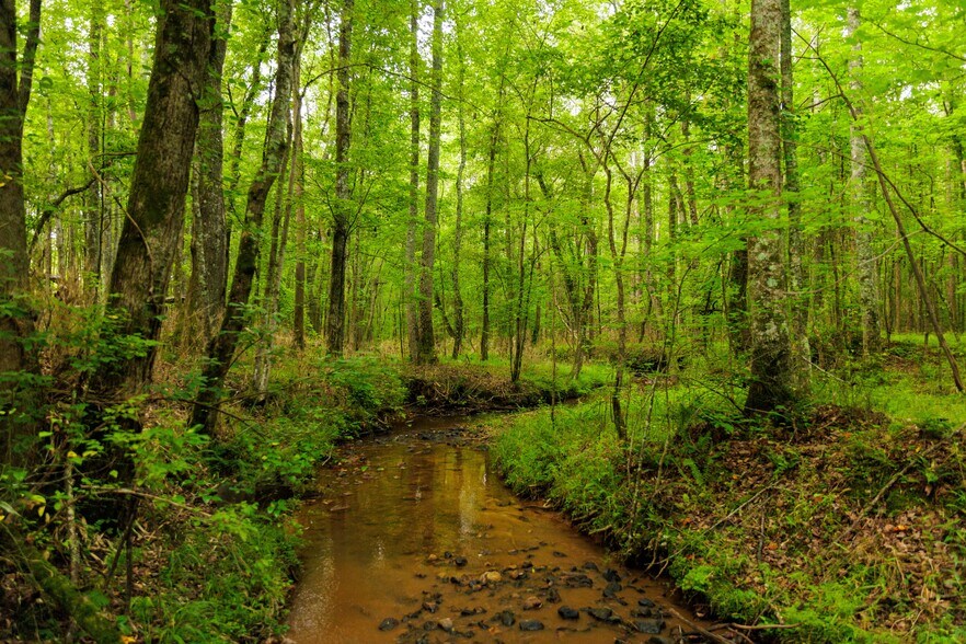 More Photos Of 2199 Roosterville Rd, Roopville Horse Stables For Sale