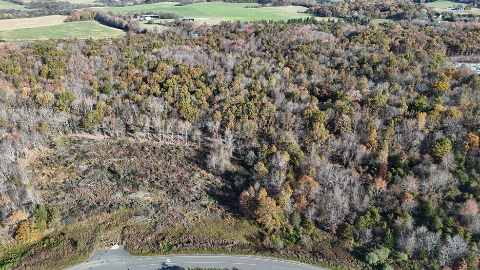 More Photos Of 0 Whiting Rd, Marshall Land For Sale