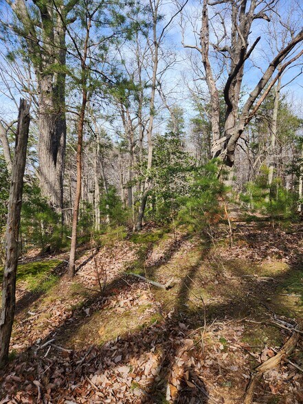 More Photos Of Lot 69 Plantation, Montross Land For Sale