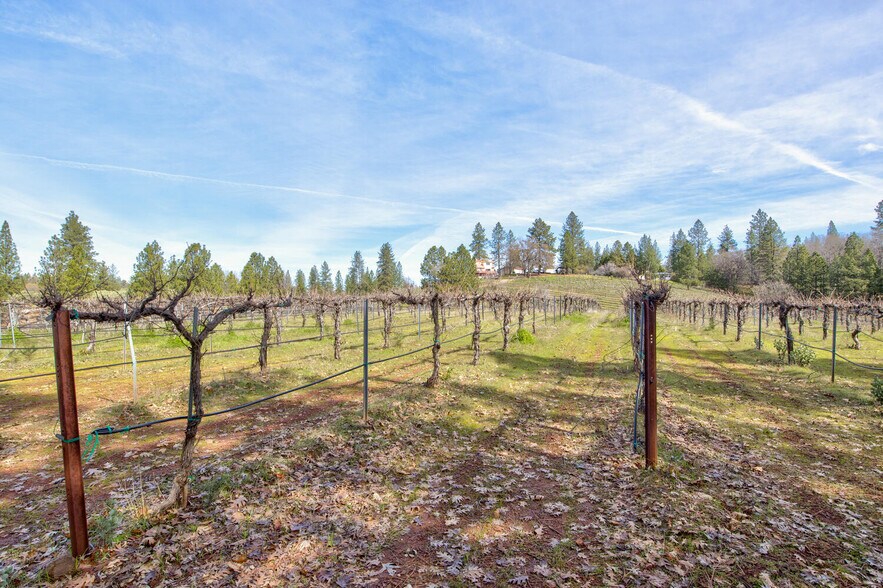 More Photos Of 4771 Greenhills Rd, Placerville Winery Vineyard For Sale