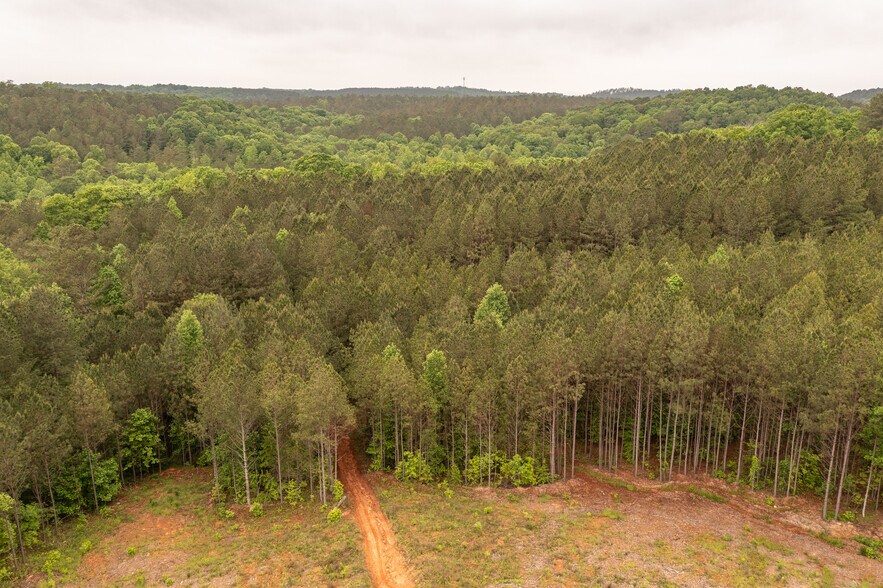 Primary Photo Of HWY 515 & Hidden Creek rd, Jasper Land For Sale