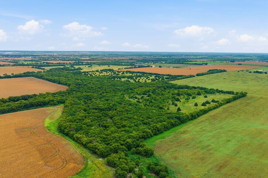 More Photos Of 10935 County Road 109, Alvarado Land For Sale