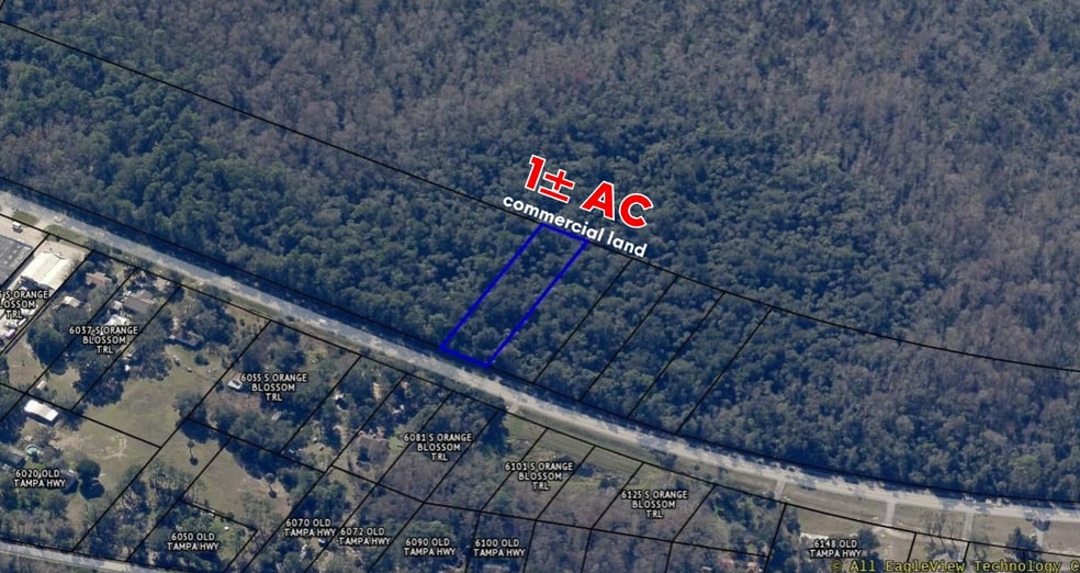 Primary Photo Of Orange Blossom Trl, Davenport Land For Sale