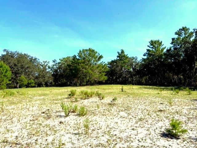 More Photos Of 5031 Lisk Ln, Lake Wales Land For Sale