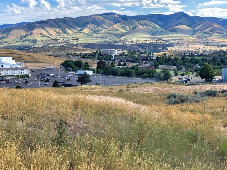 2501 Birdie Thompson  