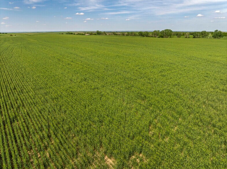 More Photos Of 250 Ute Rd, Delphos Land For Sale