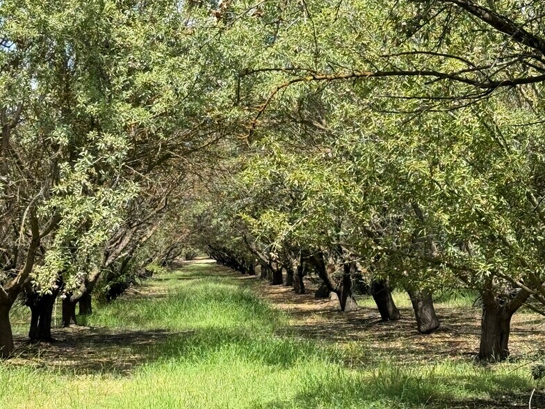 More Photos Of Yosemite Blvd @ Root Rd, Modesto Land For Sale