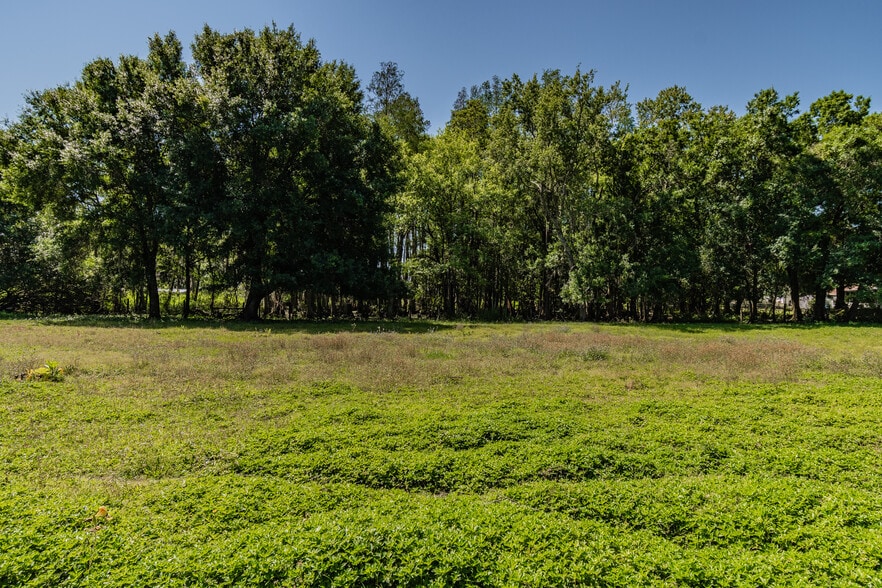 More Photos Of 14831 Shaw Rd, Tampa Land For Sale