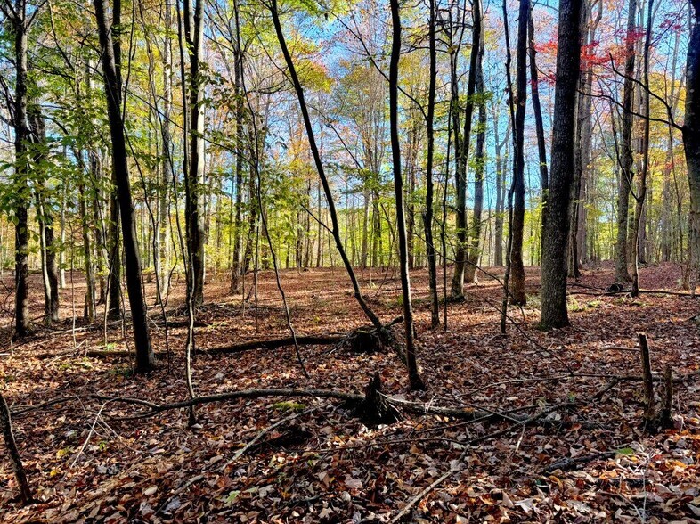 More Photos Of 0 Old Pluto Rd, Shady Spring Land For Sale