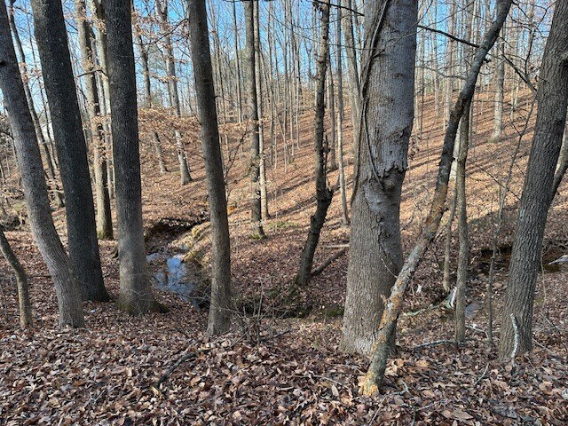 More Photos Of 00 Ash St, Canton Land For Sale