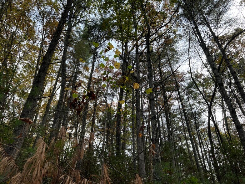 More Photos Of Whitecliff Drive, Ellijay Land For Sale