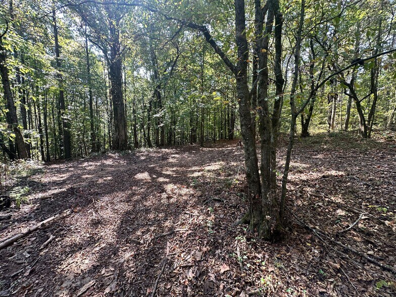 More Photos Of 00 Frix Rd, Cumming Land For Sale
